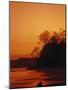 Pacific Coast Rain Forest at Dusk, Costa Rica-Robert Houser-Mounted Photographic Print