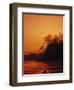 Pacific Coast Rain Forest at Dusk, Costa Rica-Robert Houser-Framed Photographic Print