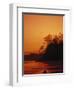 Pacific Coast Rain Forest at Dusk, Costa Rica-Robert Houser-Framed Photographic Print