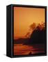 Pacific Coast Rain Forest at Dusk, Costa Rica-Robert Houser-Framed Stretched Canvas