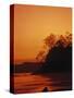 Pacific Coast Rain Forest at Dusk, Costa Rica-Robert Houser-Stretched Canvas