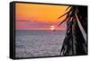 Pacific Coast Sunset, Puerto Vallarta, Mexico-George Oze-Framed Stretched Canvas