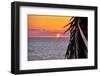 Pacific Coast Sunset, Puerto Vallarta, Mexico-George Oze-Framed Photographic Print