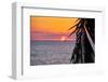 Pacific Coast Sunset, Puerto Vallarta, Mexico-George Oze-Framed Photographic Print