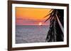 Pacific Coast Sunset, Puerto Vallarta, Mexico-George Oze-Framed Photographic Print