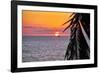 Pacific Coast Sunset, Puerto Vallarta, Mexico-George Oze-Framed Photographic Print