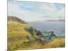 Pacific Coast View-Arnie Fisk-Mounted Art Print