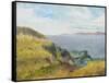 Pacific Coast View-Arnie Fisk-Framed Stretched Canvas