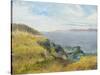 Pacific Coast View-Arnie Fisk-Stretched Canvas