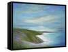 Pacific Coast-Sheila Finch-Framed Stretched Canvas