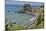 Pacific coastline along Highway 101. Samuel H. Boardman State Scenic Corridor, Oregon coast-Darrell Gulin-Mounted Photographic Print