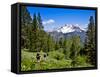 Pacific Crest Trail to Agnew Meadows, Ansel Adams Wilderness, California, Usa-Mark Williford-Framed Stretched Canvas