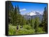 Pacific Crest Trail to Agnew Meadows, Ansel Adams Wilderness, California, Usa-Mark Williford-Framed Stretched Canvas