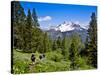 Pacific Crest Trail to Agnew Meadows, Ansel Adams Wilderness, California, Usa-Mark Williford-Stretched Canvas