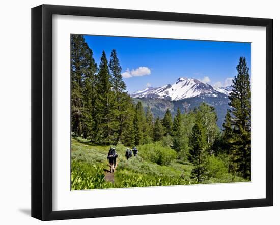 Pacific Crest Trail to Agnew Meadows, Ansel Adams Wilderness, California, Usa-Mark Williford-Framed Photographic Print