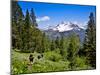 Pacific Crest Trail to Agnew Meadows, Ansel Adams Wilderness, California, Usa-Mark Williford-Mounted Photographic Print