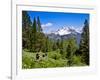 Pacific Crest Trail to Agnew Meadows, Ansel Adams Wilderness, California, Usa-Mark Williford-Framed Photographic Print