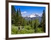 Pacific Crest Trail to Agnew Meadows, Ansel Adams Wilderness, California, Usa-Mark Williford-Framed Photographic Print