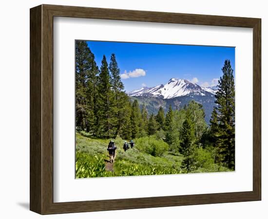 Pacific Crest Trail to Agnew Meadows, Ansel Adams Wilderness, California, Usa-Mark Williford-Framed Photographic Print