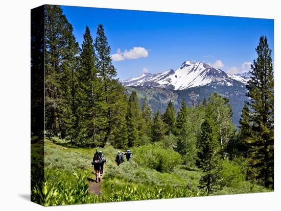 Pacific Crest Trail to Agnew Meadows, Ansel Adams Wilderness, California, Usa-Mark Williford-Stretched Canvas