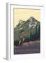 Pacific Crest Trail, Washington - Mountain Hiker-Lantern Press-Framed Art Print