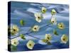 Pacific Dogwood Blossoms, Hood Canal, Washington, USA-Don Paulson-Stretched Canvas