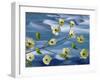 Pacific Dogwood Blossoms, Hood Canal, Washington, USA-Don Paulson-Framed Photographic Print