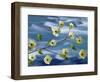 Pacific Dogwood Blossoms, Hood Canal, Washington, USA-Don Paulson-Framed Photographic Print