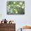 Pacific Dogwood Tree in Bloom, Yosemite National Park, California, USA-Adam Jones-Photographic Print displayed on a wall