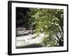 Pacific Dogwood Tree, Merced River, Yosemite National Park, California, USA-Adam Jones-Framed Photographic Print