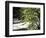 Pacific Dogwood Tree, Merced River, Yosemite National Park, California, USA-Adam Jones-Framed Photographic Print