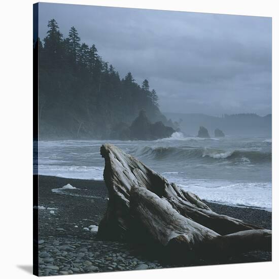 Pacific Drifter-Phillip Mueller-Stretched Canvas