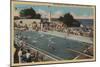 Pacific Grove, CA - Municipal Swimming Pool View-Lantern Press-Mounted Art Print