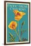 Pacific Grove, California - Poppy - Letterpress-Lantern Press-Framed Art Print