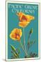Pacific Grove, California - Poppy - Letterpress-Lantern Press-Mounted Art Print