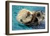 Pacific Grove, California - Sea Otter-Lantern Press-Framed Art Print