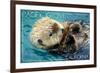 Pacific Grove, California - Sea Otter-Lantern Press-Framed Premium Giclee Print