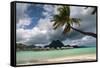 Pacific Island Paradise-Woolfy-Framed Stretched Canvas