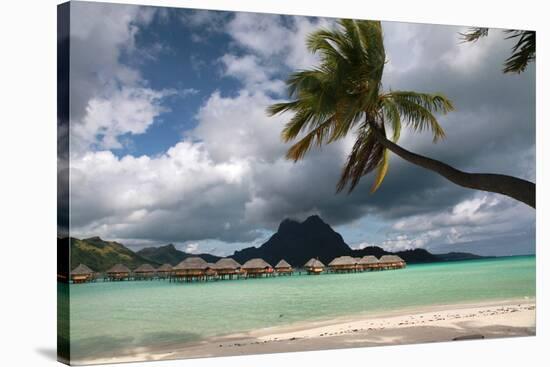 Pacific Island Paradise-Woolfy-Stretched Canvas