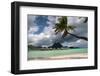 Pacific Island Paradise-Woolfy-Framed Photographic Print