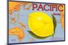 Pacific Lemon Crate Label-null-Mounted Art Print