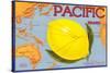 Pacific Lemon Crate Label-null-Stretched Canvas