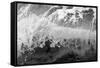 Pacific Moves I-Nathan Larson-Framed Stretched Canvas