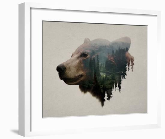 Pacific Northwest Black Bear-Davies Babies-Framed Art Print