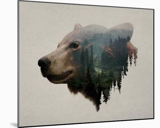 Pacific Northwest Black Bear-Davies Babies-Mounted Art Print