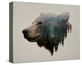 Pacific Northwest Black Bear-Davies Babies-Stretched Canvas