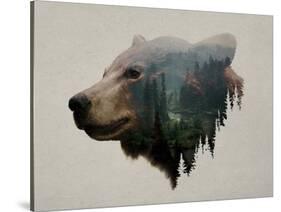 Pacific Northwest Black Bear-Davies Babies-Stretched Canvas