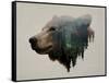 Pacific Northwest Black Bear-Davies Babies-Framed Stretched Canvas