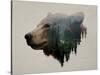 Pacific Northwest Black Bear-Davies Babies-Stretched Canvas