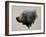 Pacific Northwest Black Bear-Davies Babies-Framed Art Print